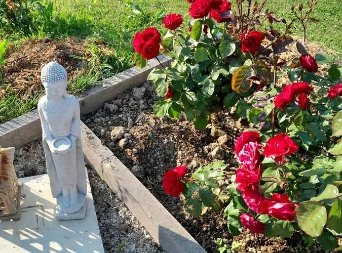 Du Capitaine Alojamento de Acomodação e Pequeno-almoço